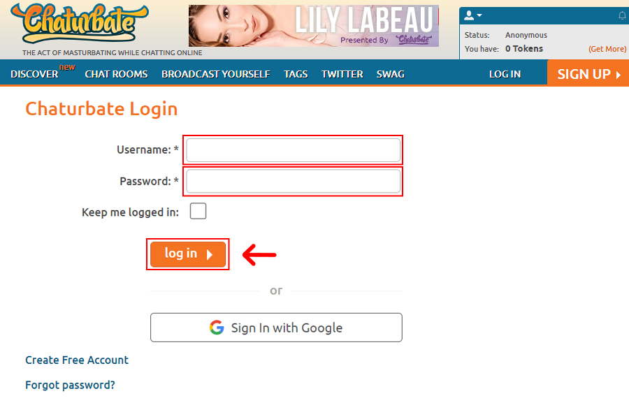 How to Log In